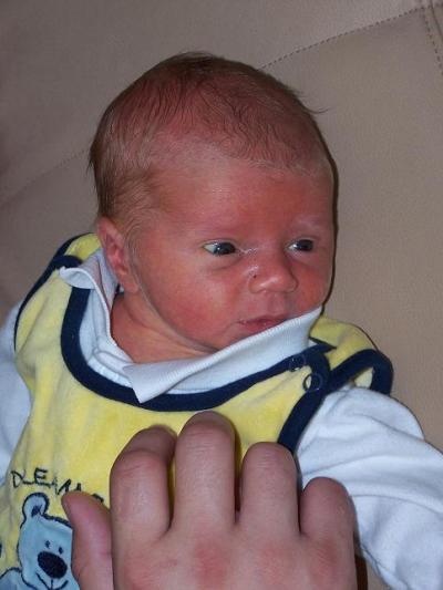 Bild zu Egon 1 - Baby Forum - Allgemeine Themen