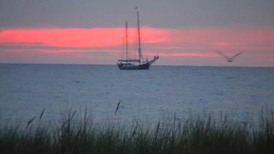 Bild zu wollt ihr mal schöne bilder sehen - Baby Forum - Allgemeine Themen