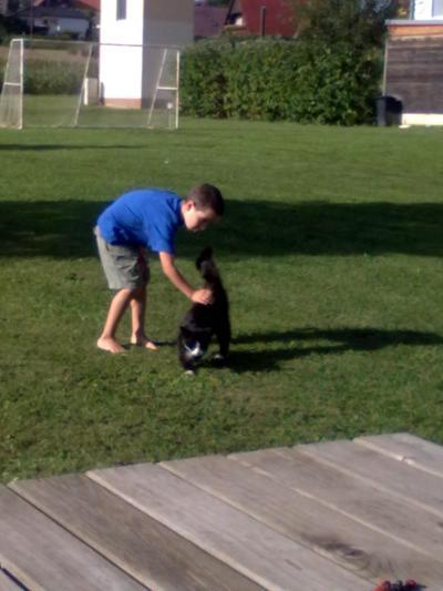 Bild zu Wer hat mein Kind ausgetauscht , oder wird mein Kind krank? - Baby Forum - Allgemeine Themen