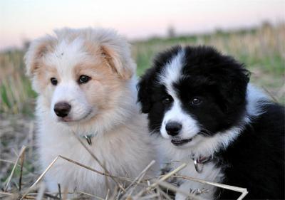 Bild zu Ach wie süß! - Baby Forum - Allgemeine Themen