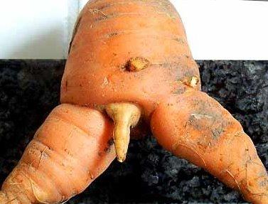 Bild zu FSK 18 Gemüse - Baby Forum - Allgemeine Themen