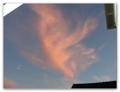 Bild zu guckt mal... toll, oder ? - Baby Forum - Allgemeine Themen