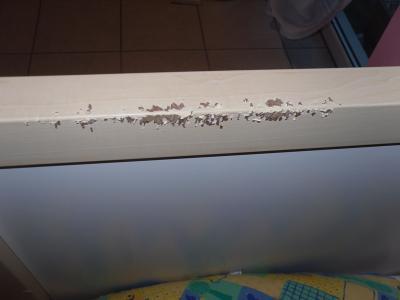 Bild zu Hilfe - meine Tochter ist ein Bettesser - Baby Forum - Allgemeine Themen