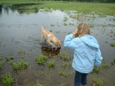 Bild zu wir haben richtiges drachenwetter - Baby Forum - Allgemeine Themen