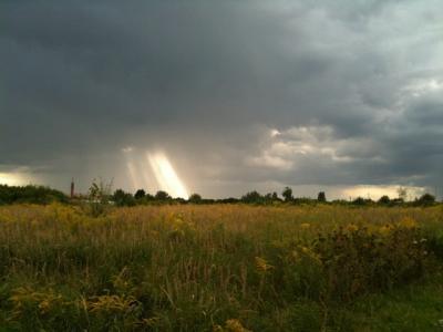Bild zu Kuckt mal, so sah es vorhin bei uns aus....voll schön! - Baby Forum - Allgemeine Themen