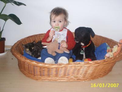 Bild zu Ich hab gerade was gaaaaanz süßes Gefunden - Baby Forum - Allgemeine Themen