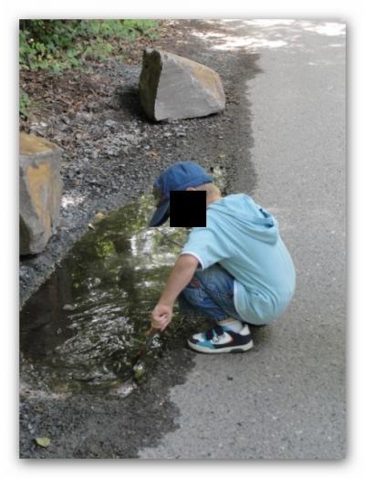 Bild zu 