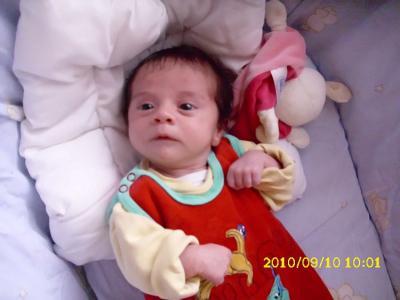 Bild zu wir hatten U3 - Baby Forum - Allgemeine Themen