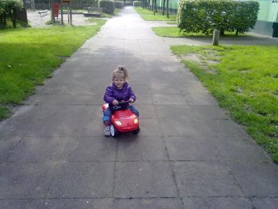 Bild zu