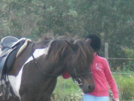 Bild zu