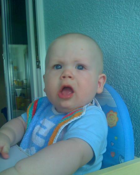 Bild zu