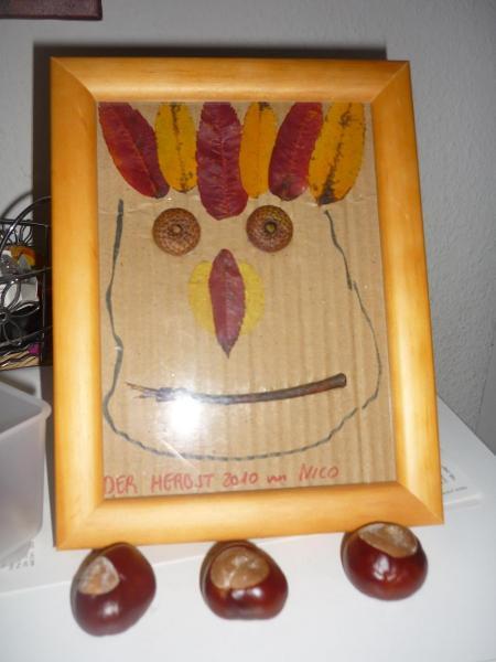 Bild zu 