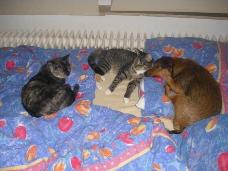 Bild zu 