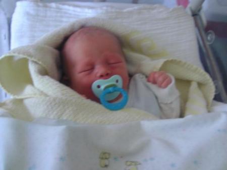 Bild zu
