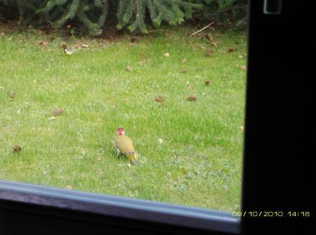 Bild zu
