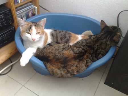 Bild zu