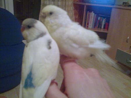 Bild zu