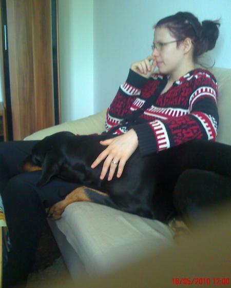 Bild zu