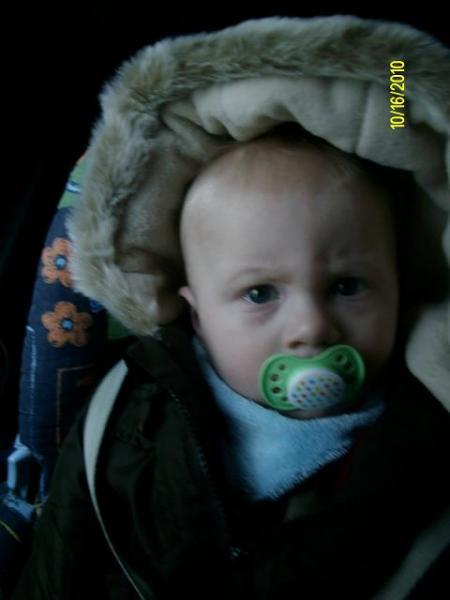 Bild zu