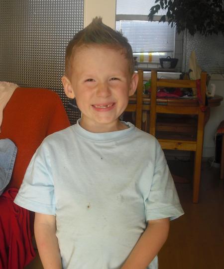 Bild zu