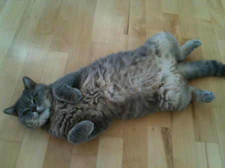 Bild zu 