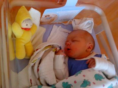 Bild zu silopo - Baby Forum - Allgemeine Themen