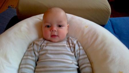 Bild zu 