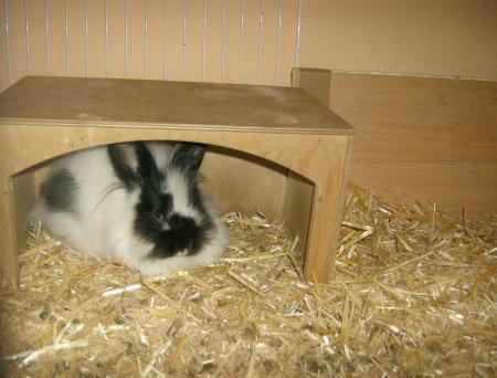Bild zu 