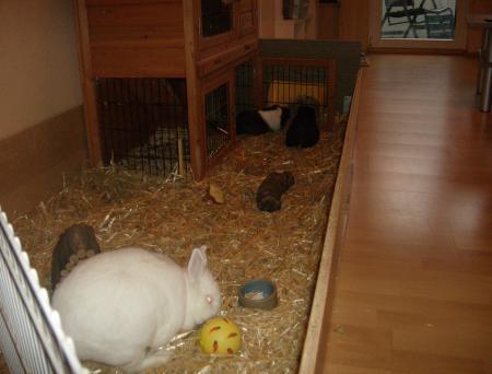 Bild zu 