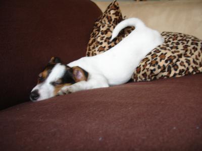 Bild zu unsere betty ist schon so groß geworden° - Baby Forum - Allgemeine Themen