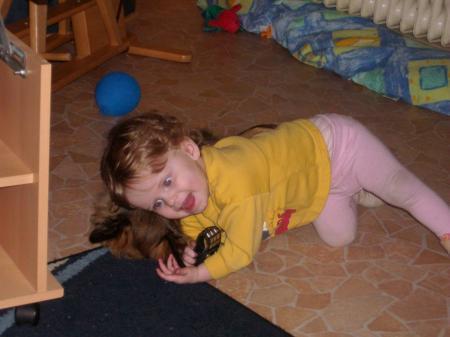 Bild zu
