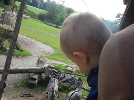 Bild zu 