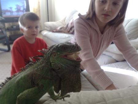 Bild zu 