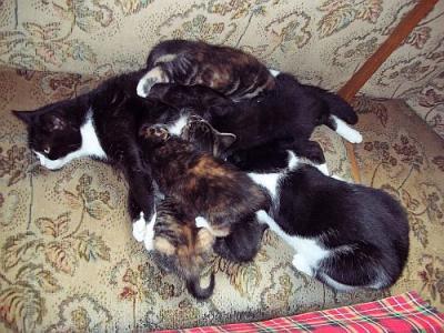 Bild zu Was stimmt nicht an dem Bild? Zum 2ten :-) - Baby Forum - Allgemeine Themen