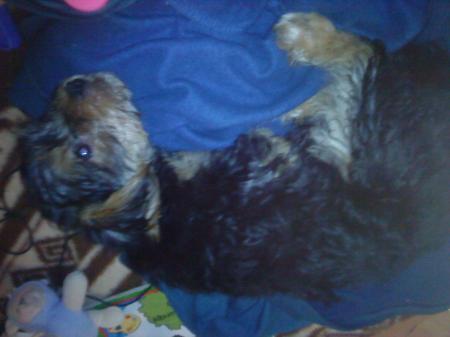 Bild zu