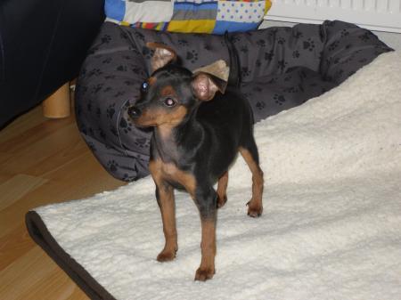 Bild zu