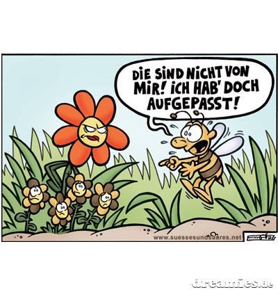Bild zu büddeschön - Baby Forum - Allgemeine Themen