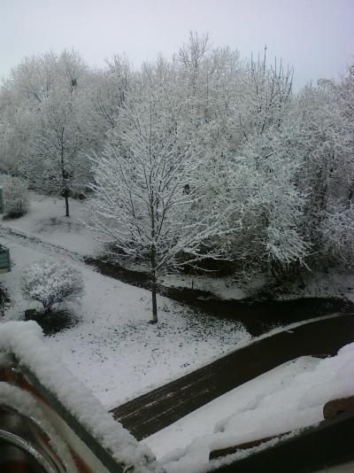 Bild zu Gabs schon Schneefotos heute!? - Baby Forum - Allgemeine Themen