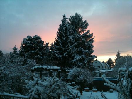 Bild zu 