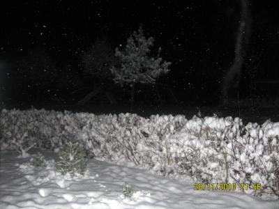 Bild zu Winterwonderland! - Baby Forum - Allgemeine Themen