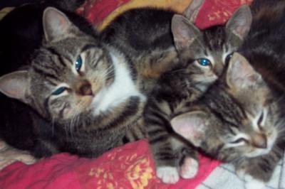 Bild zu Foto von gestern :-) - Baby Forum - Allgemeine Themen