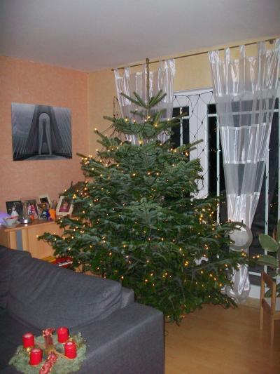 Bild zu Weihnachtsabaum vergelich 2008/2009 - Baby Forum - Allgemeine Themen
