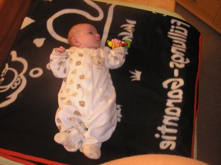 Bild zu