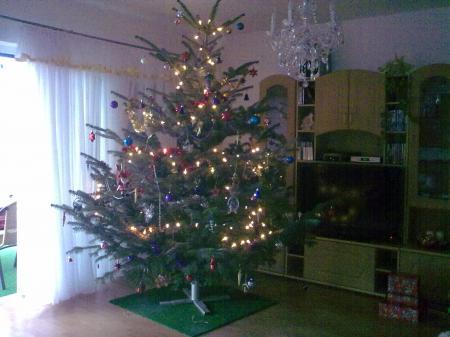 Bild zu