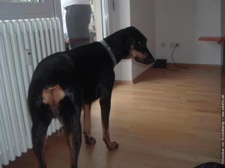 Bild zu