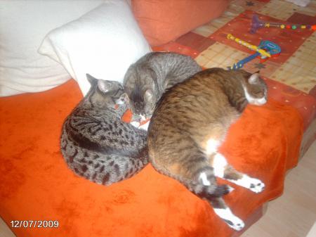 Bild zu