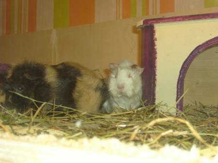 Bild zu