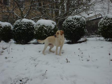 Bild zu