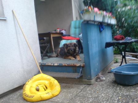 Bild zu