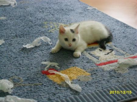 Bild zu 